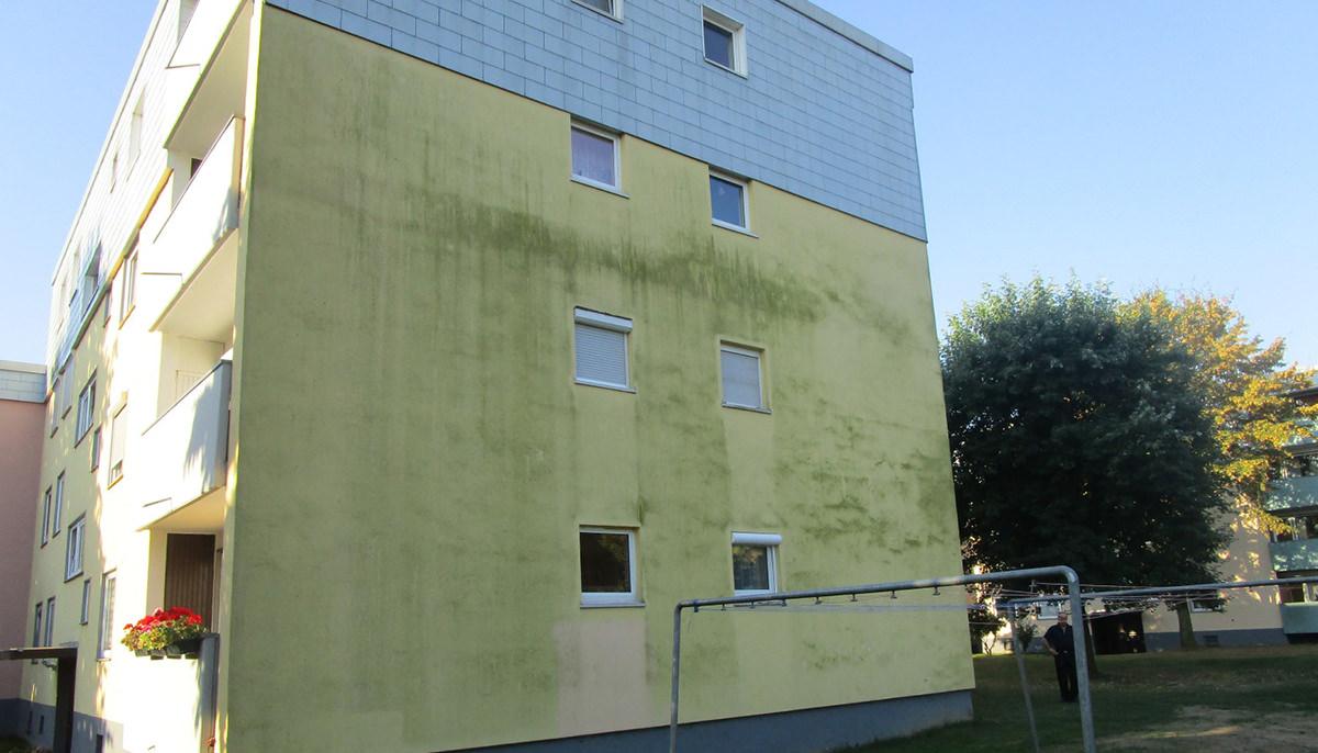 Fassadenreinigung Düsseldorf WDSV Verschmutzt Fassadenreinigung Düsseldorf WDSV Verschmutzt